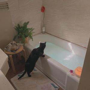 Free❌㐅❌性HD另类动漫
